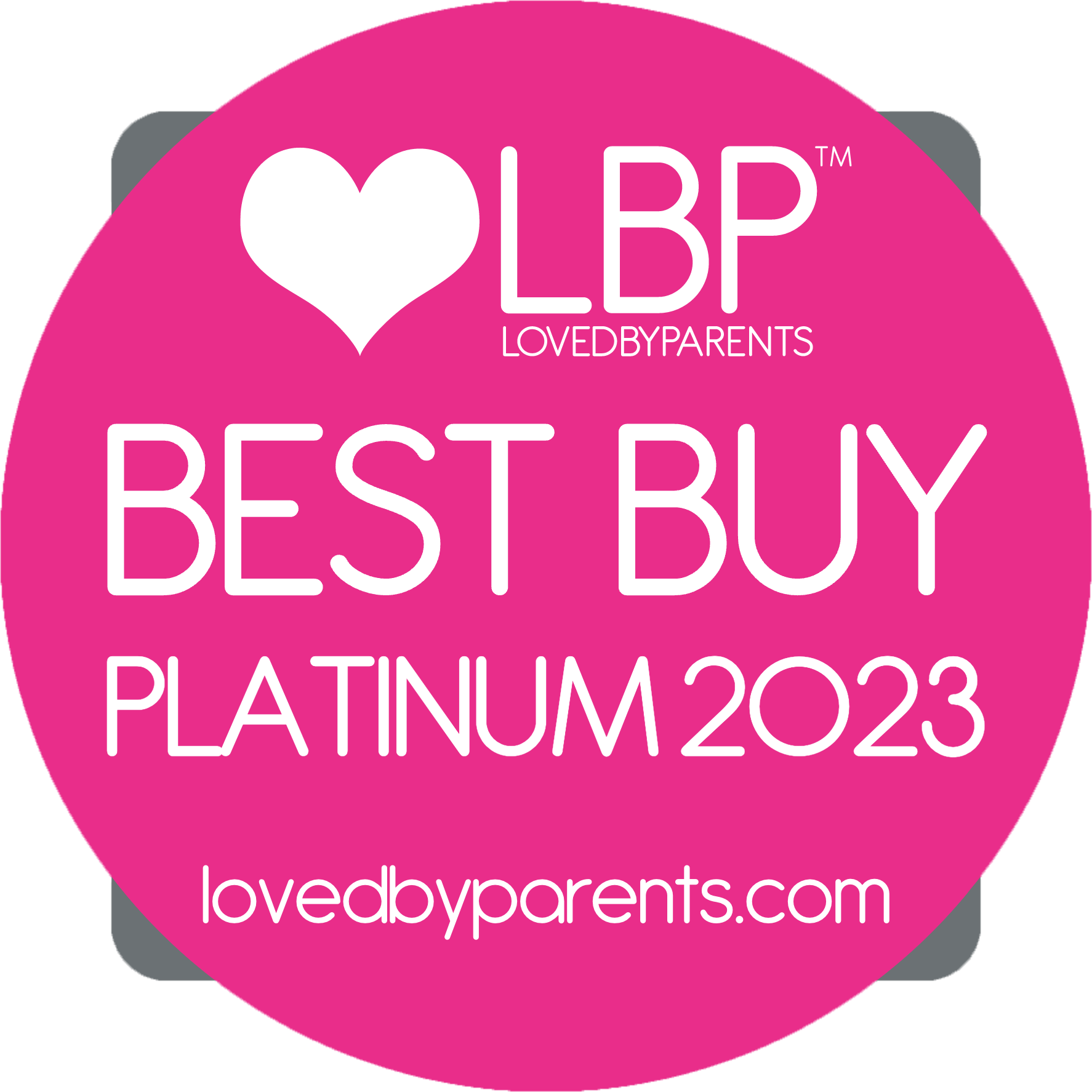 Best Buy 2023 w BG